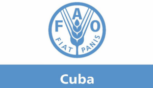 FAO assists Cuba in forest protection