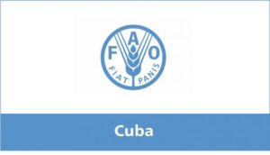 FAO revela esfuerzos para digitalización rural en Cuba