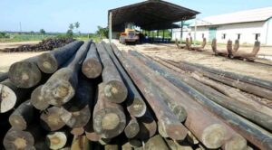 Aporta Pinar del Río postes eléctricos y telefónicos Aporta Pinar del Río postes eléctricos y telefónicos