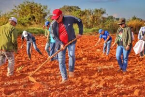 El primer secretario del PCC participa en trabajo voluntario