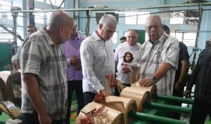 Recorre Díaz-Canel instalaciones claves para el SEN