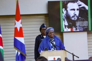 Destaca Díaz-Canel tributo de Namibia a Fidel Castro