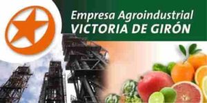 Amplía Empresa de Cítricos de Matanzas cartera de importaciones